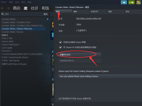 CSgo国服启动项设置后还是进不去