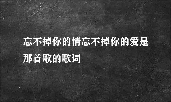 忘不掉你的情忘不掉你的爱是那首歌的歌词