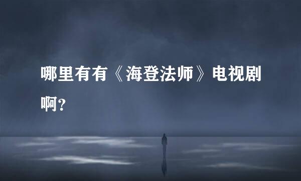 哪里有有《海登法师》电视剧啊？