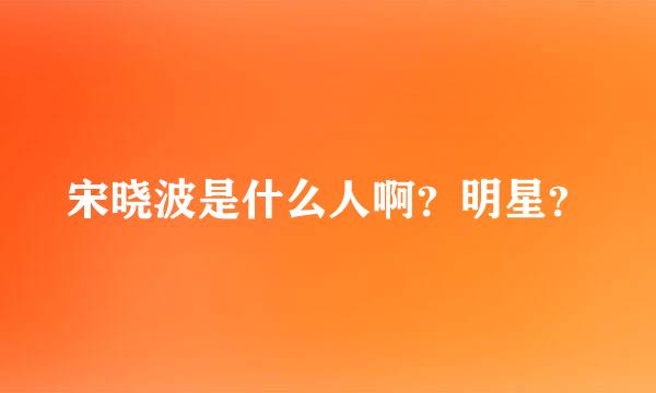 宋晓波是什么人啊？明星？