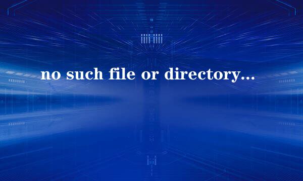 no such file or directory是什么意思啊