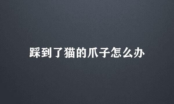 踩到了猫的爪子怎么办