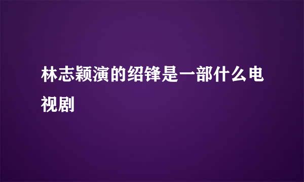 林志颖演的绍锋是一部什么电视剧