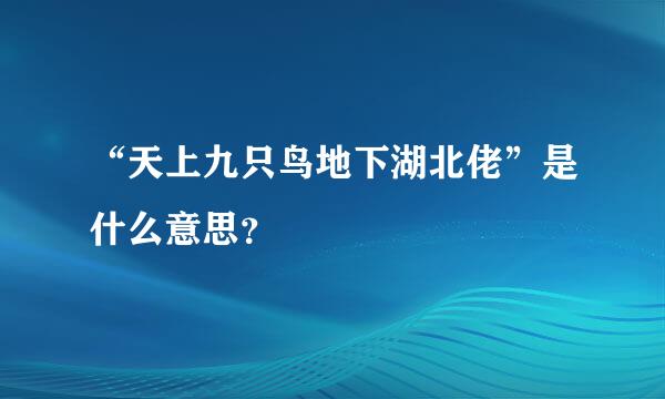 “天上九只鸟地下湖北佬”是什么意思？