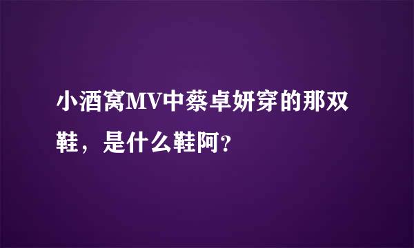 小酒窝MV中蔡卓妍穿的那双鞋，是什么鞋阿？