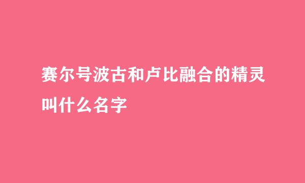 赛尔号波古和卢比融合的精灵叫什么名字