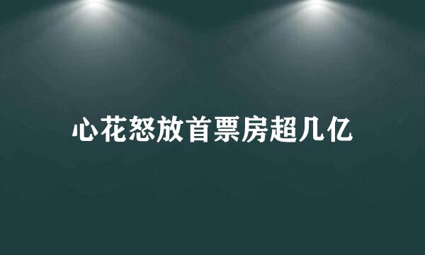 心花怒放首票房超几亿