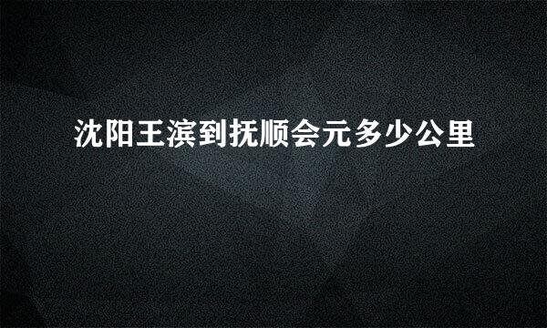 沈阳王滨到抚顺会元多少公里