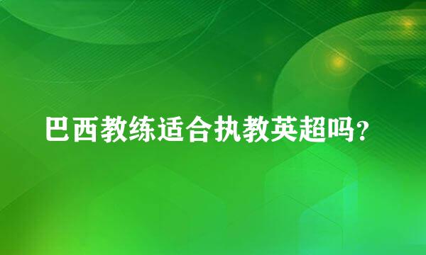 巴西教练适合执教英超吗？