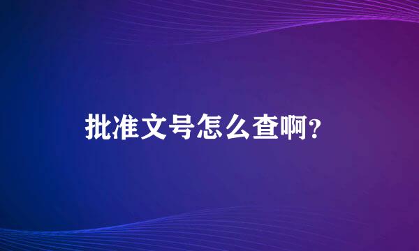 批准文号怎么查啊？