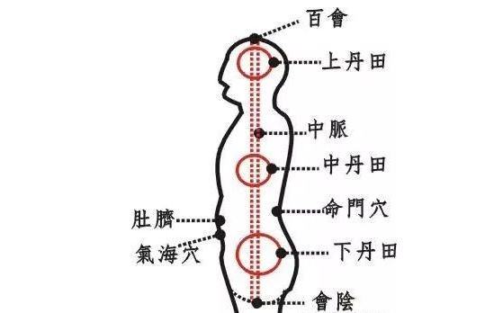 中丹田的位置以及作用