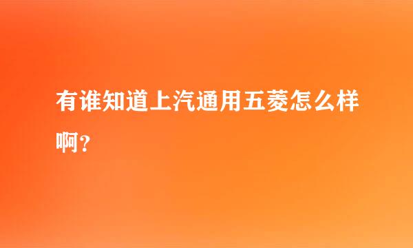 有谁知道上汽通用五菱怎么样啊？