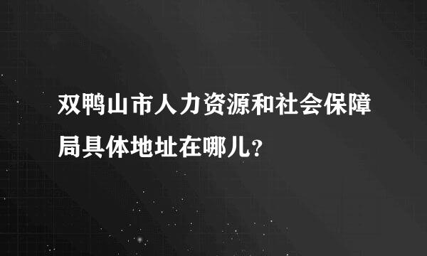 双鸭山市人力资源和社会保障局具体地址在哪儿？