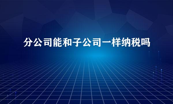 分公司能和子公司一样纳税吗