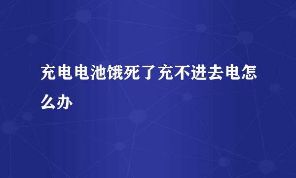 充电电池饿死了充不进去电怎么办