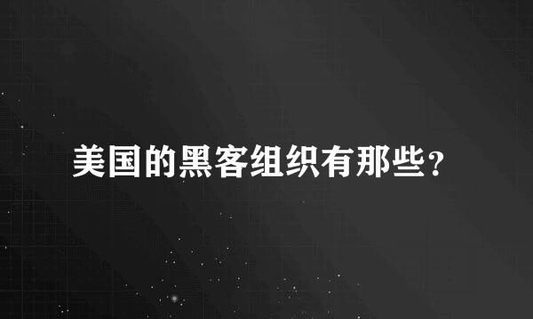 美国的黑客组织有那些？