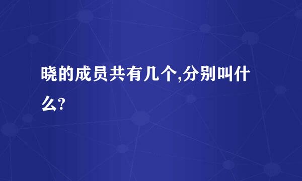 晓的成员共有几个,分别叫什么?