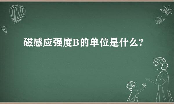 磁感应强度B的单位是什么?