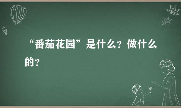 “番茄花园”是什么？做什么的？