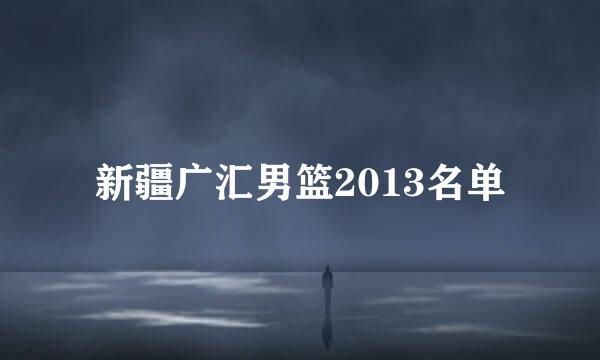 新疆广汇男篮2013名单