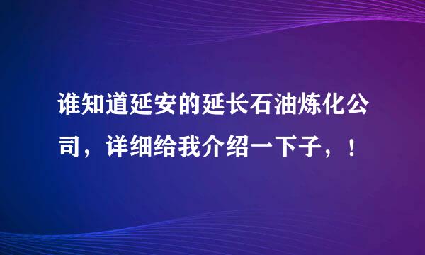 谁知道延安的延长石油炼化公司，详细给我介绍一下子，！