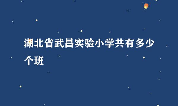 湖北省武昌实验小学共有多少个班