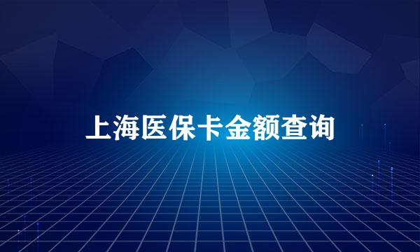 上海医保卡金额查询