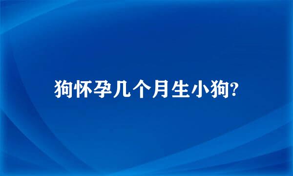 狗怀孕几个月生小狗?