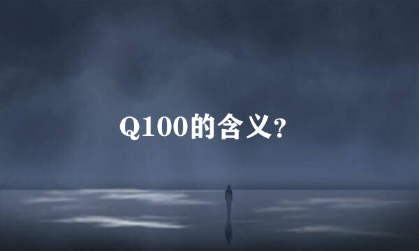 Q100的含义？