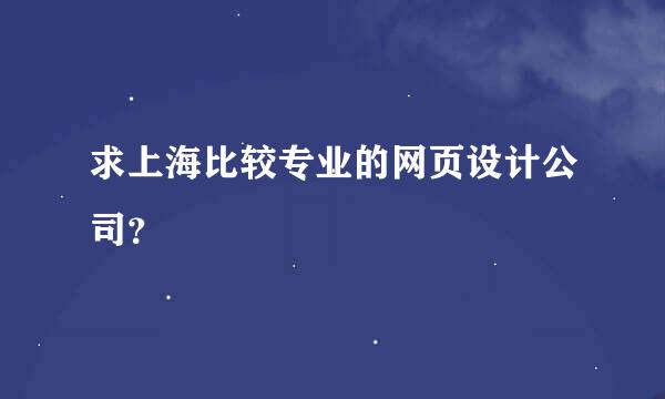 求上海比较专业的网页设计公司？