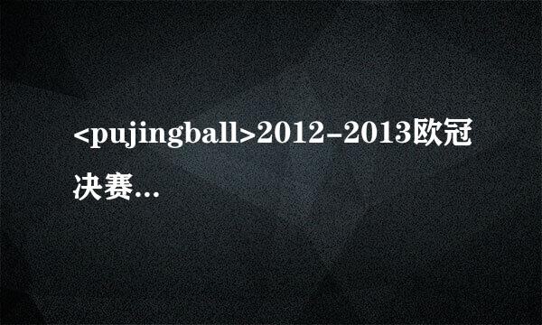 <pujingball>2012-2013欧冠决赛将在哪里进行？