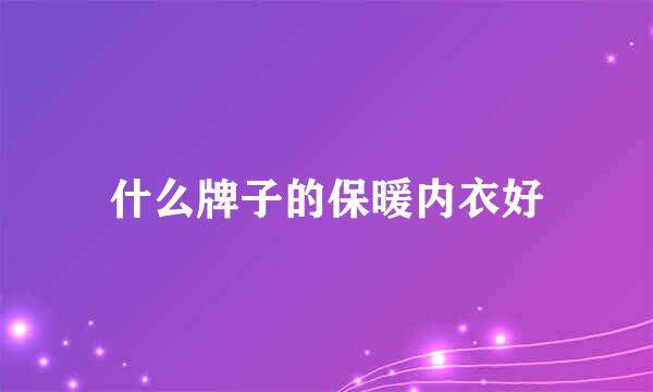 什么牌子的保暖内衣好