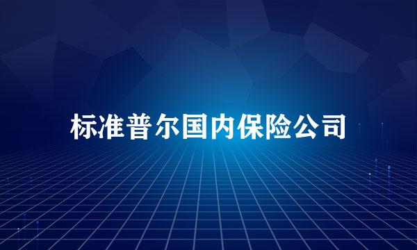 标准普尔国内保险公司