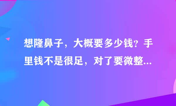 想隆鼻子，大概要多少钱？手里钱不是很足，对了要微整形的费用？