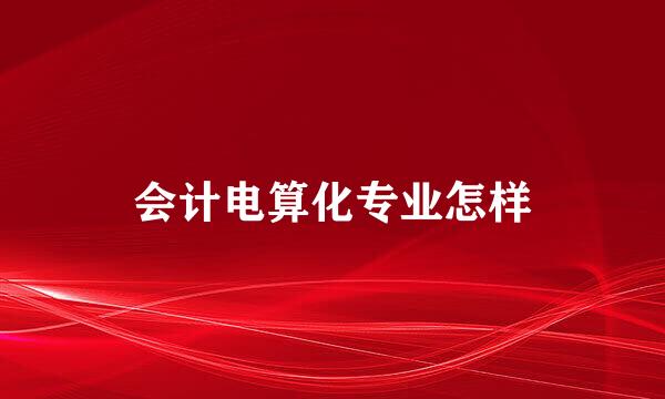 会计电算化专业怎样