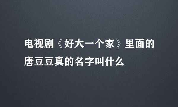 电视剧《好大一个家》里面的唐豆豆真的名字叫什么