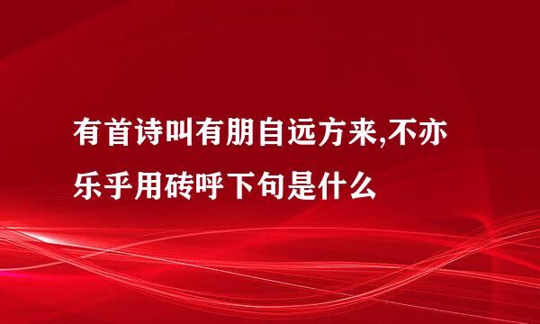 有首诗叫有朋自远方来,不亦乐乎用砖呼下句是什么