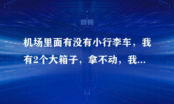 机场里面有没有小行李车，我有2个大箱子，拿不动，我到浦东机场门口然后该怎么操作？？