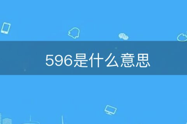 596是什么意思