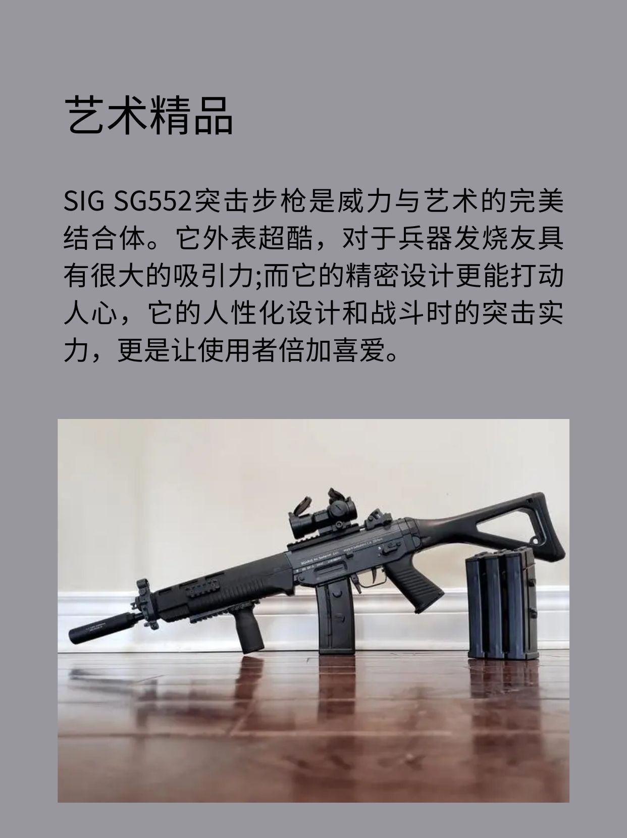 瑞士SIG SG552突击步枪