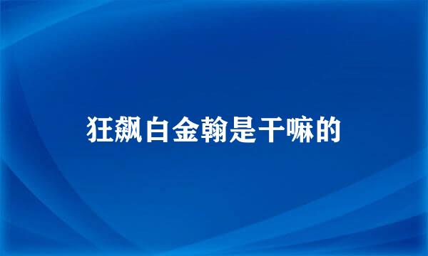 狂飙白金翰是干嘛的