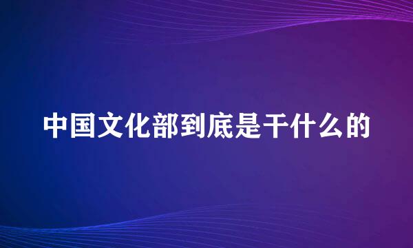 中国文化部到底是干什么的