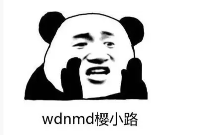 wdnmd是什么的缩写？