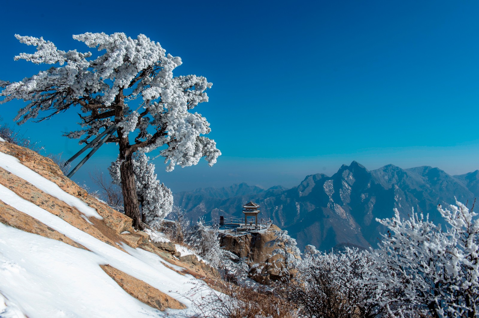 太华是什么意思