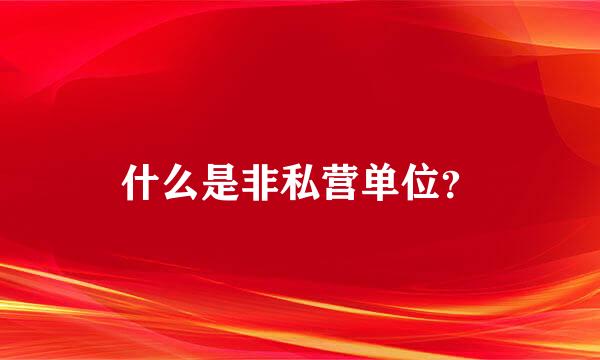 什么是非私营单位？