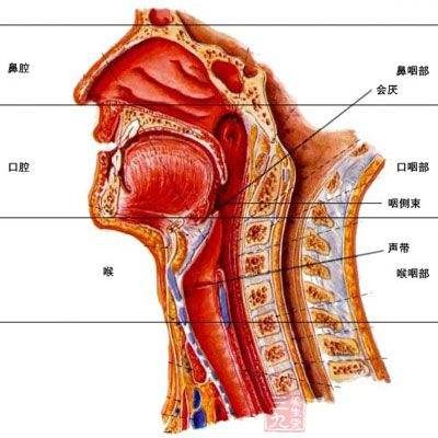 咙能组什么词？