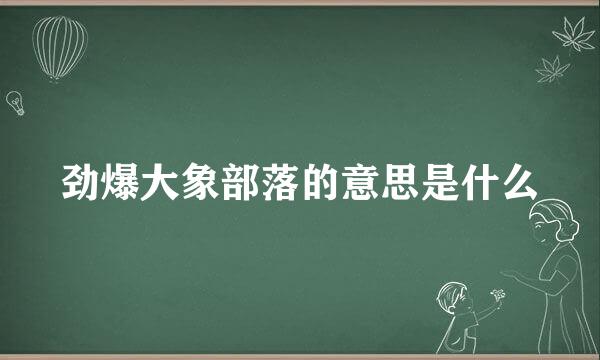 劲爆大象部落的意思是什么