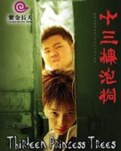 《十三棵泡桐-2006》百度网盘高清资源在线观看，刘雅瑟主演的