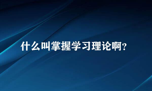 什么叫掌握学习理论啊？