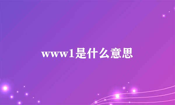 www1是什么意思